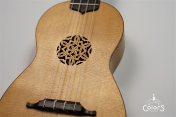 ukulele concert 14 FA.S